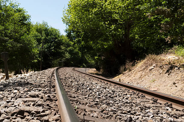 istock Railroad in the forest close up 498214973
