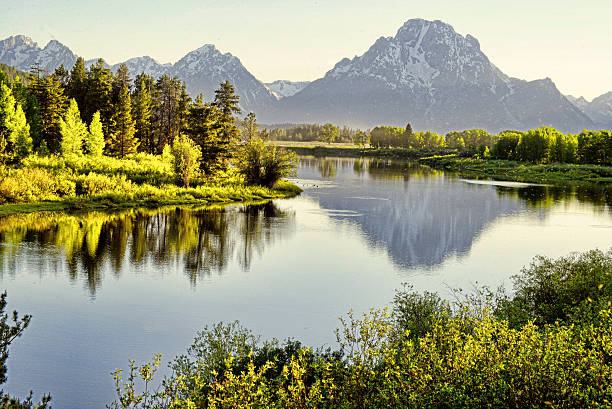 istock Early morning light in Yellowstone. 498237047