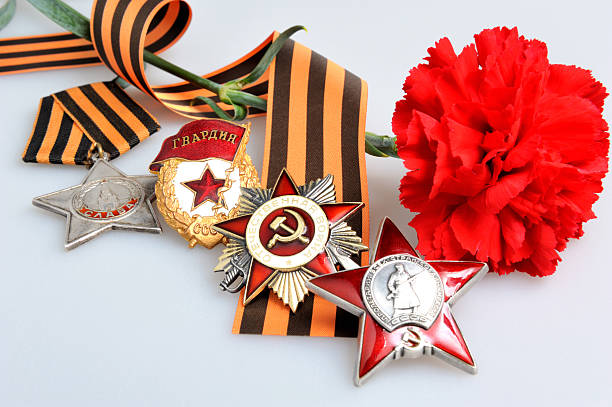 istock Carnation with Saint George ribbon and military orders on gray 498237163