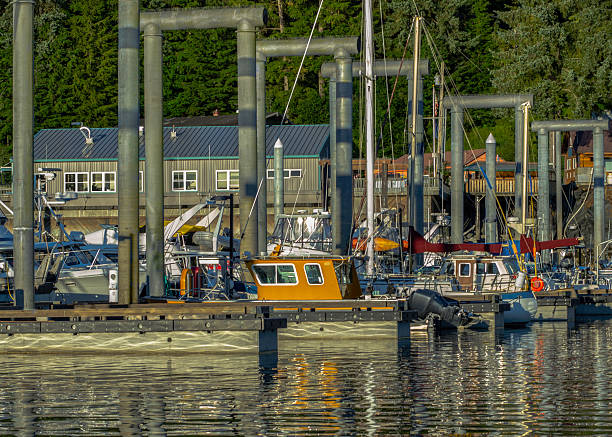 istock Boats In Dock Outside Juneau, Alaska 498239729