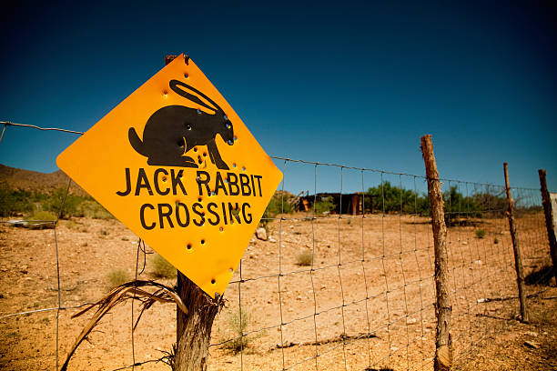 istock rabbit warning sign with bullet holes 498240859