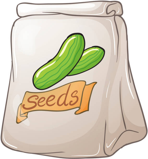 ilustrações de stock, clip art, desenhos animados e ícones de embalagem de pepino sementes - hardbound