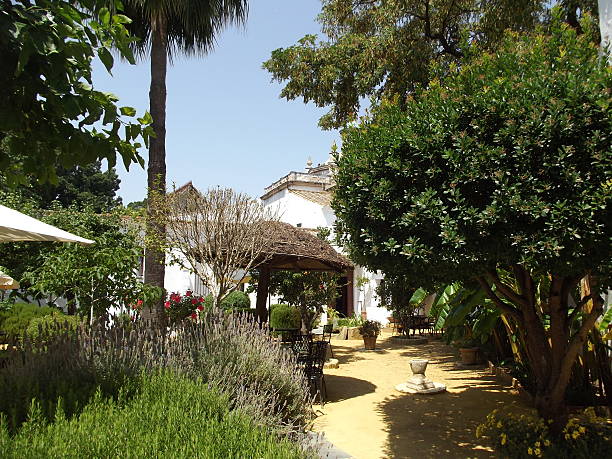istock Garden at Duchess's Palace. Sanlucar 498242637