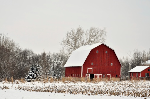 Red Barn in the winter with snow on the ground.