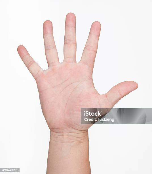 Hand Stock Photo - Download Image Now - Cut Out, Gesturing, Human Arm