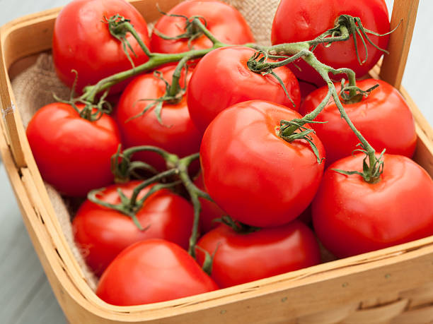 istock Fresh tomatos in wood basket 498249980