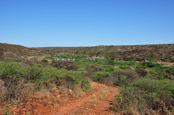 istock Riet river in Mokala National Park 498254160