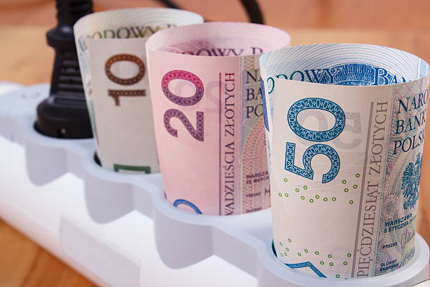 istock Electrical power extension with connected plug and polish currency money 498259148