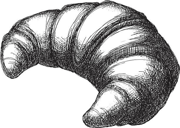 Sketch Crescent Vector illustration of croissant. croissant illustrations stock illustrations