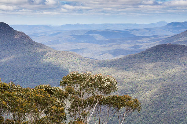 istock The famous Three Sisters rock formation in the Blue Mountains 498261796