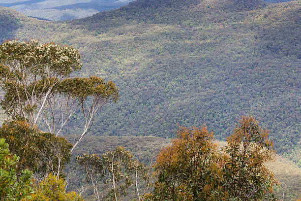 istock The famous Three Sisters rock formation in the Blue Mountains 498271286