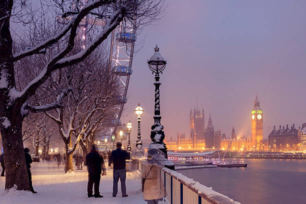 снежная юбилей сады и вестминстерский дворец в лондоне - london england christmas snow winter стоковые фото и изображения