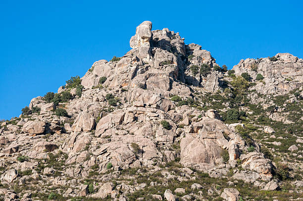 istock Mediterranean vegetation in Sierra de los Porrones 498272776