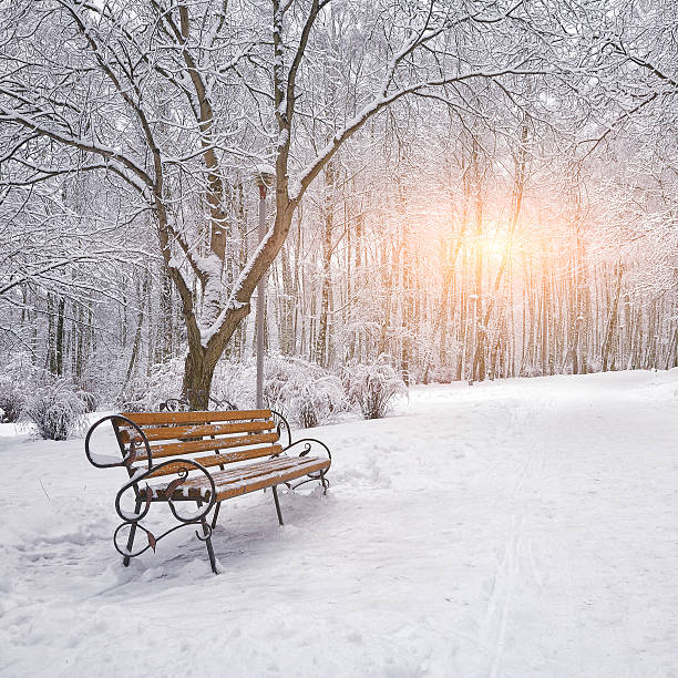 istock Snow-covered trees and benches in the city park 498275372