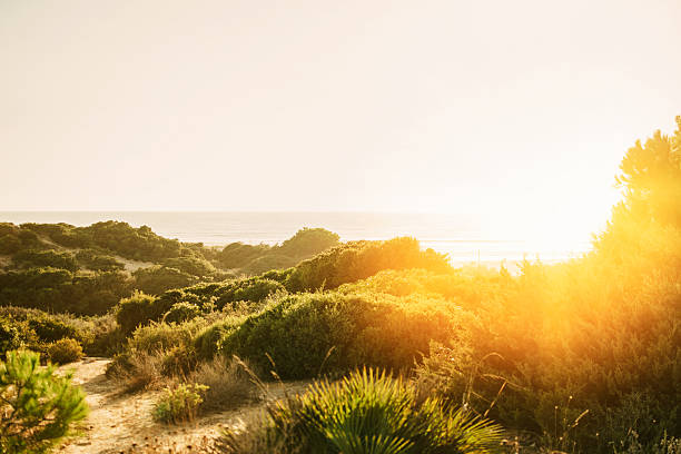 サンセットオンザビーチ - south africa coastline sea wave ストックフォトと画像