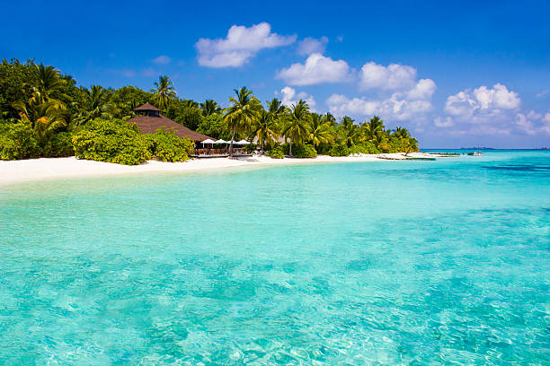 istock Vilamendhoo Atoll in the Maldives 498276078