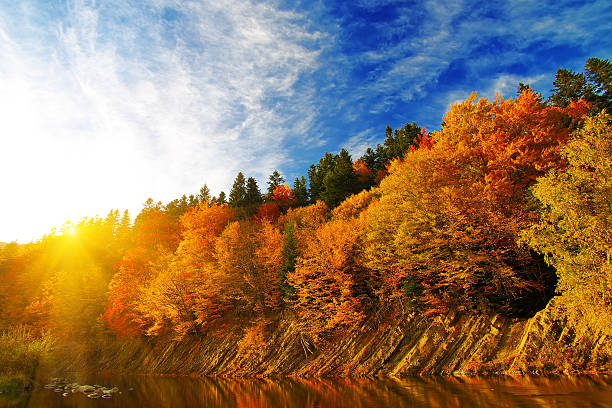 istock autumn forest by the river at sunset 498276158