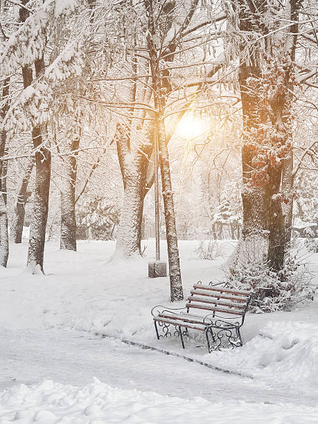 istock Snow-covered trees in the city park 498277720