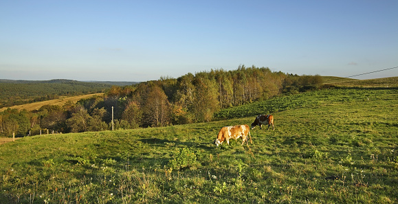 Landscape near Jawornik Ruski. United States 
