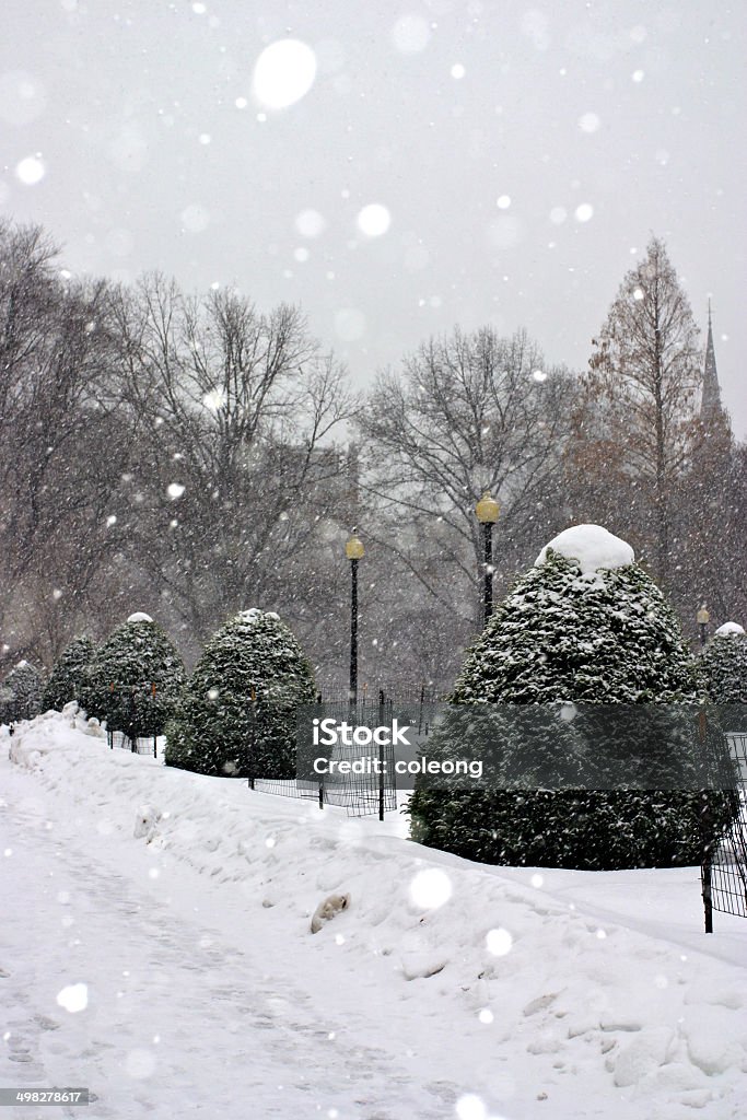 Boston Winter - Lizenzfrei Architektur Stock-Foto