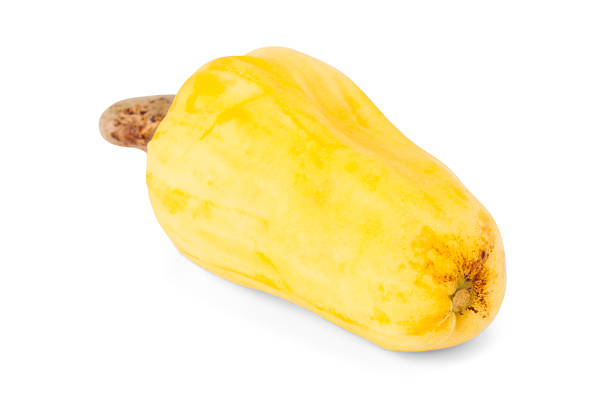 istock Brazilian Caju Cashew Fruit 498279185