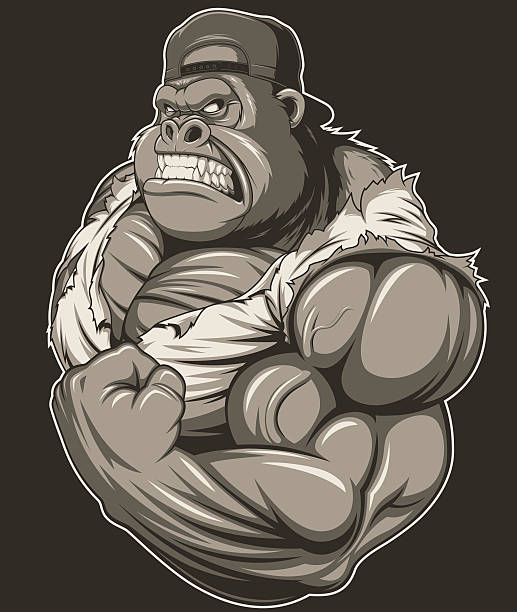 Terrible gorilla athlete Vector illustration, terrible gorilla professional athlete, on a white background animal macho stock illustrations