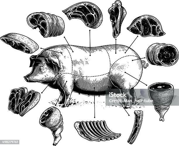 절단 돈육 돼지고기에 대한 스톡 벡터 아트 및 기타 이미지 - 돼지고기, 돼지, 고기