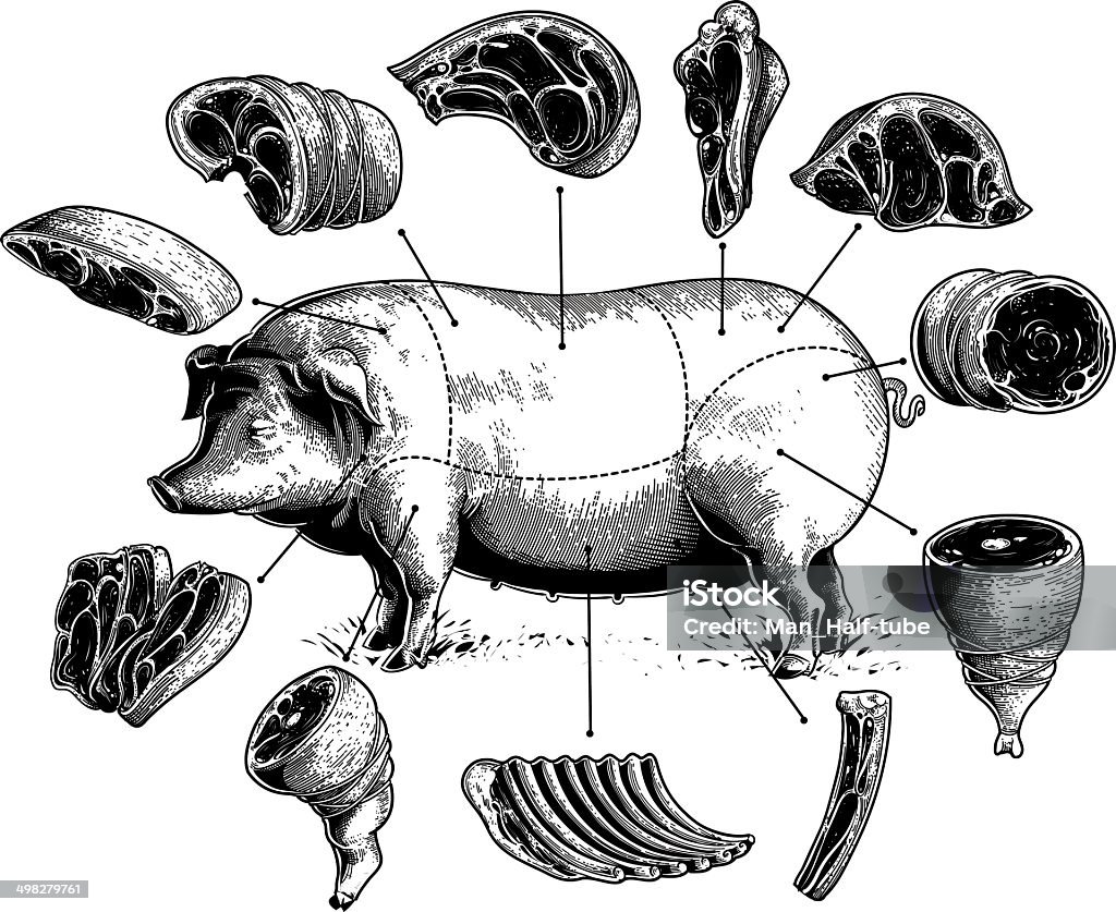 Cuts of Pork Illustrations of pork meat cuts. Pork stock vector