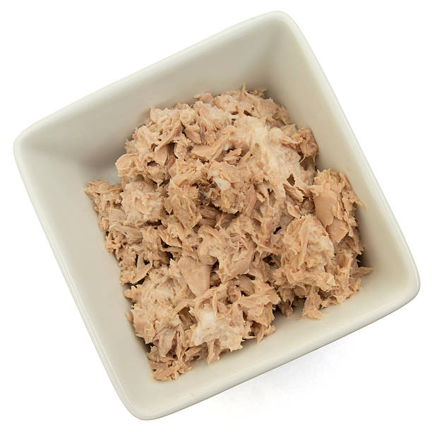 istock Tuna sandwich filling 498280631