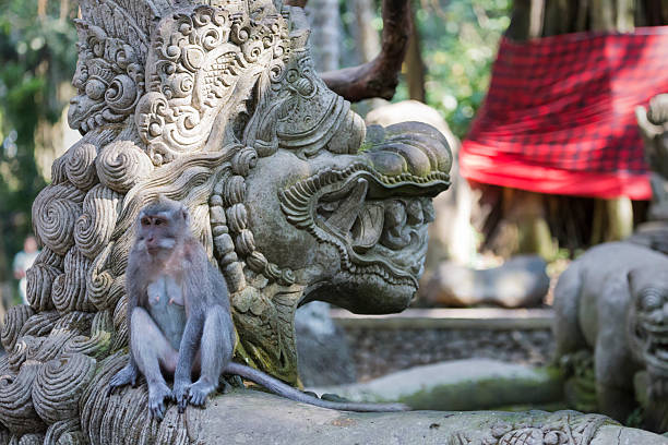 istock Monkey at Sacred Monkey Forest, Ubud, Bali, Indonesia 498280924