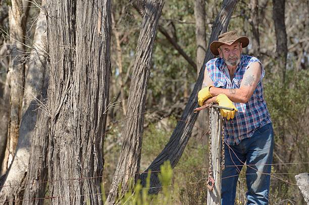 Australian Farmer Fencing Fencing on a rural property in Victoria.  bendigo photos stock pictures, royalty-free photos & images