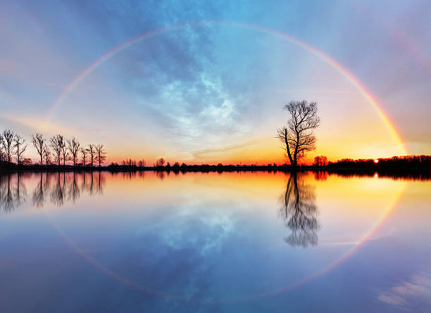Tree and sun on lake sunrise