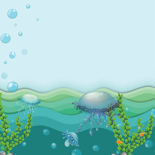 ilustrações, clipart, desenhos animados e ícones de água-vivas sob o mar - scyphozoa