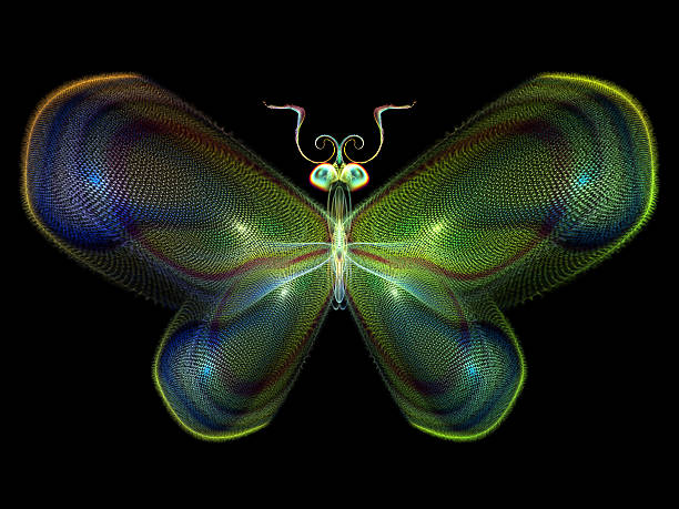 istock Lights of Butterfly 498281505