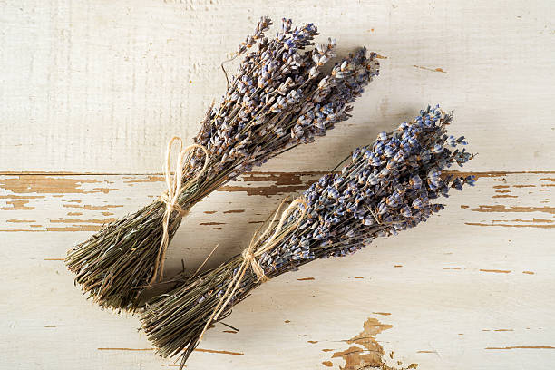istock dry lavender bunch on wooden background 498282778