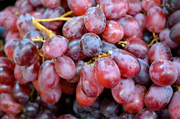 istock Purple sweet grapes 498282791