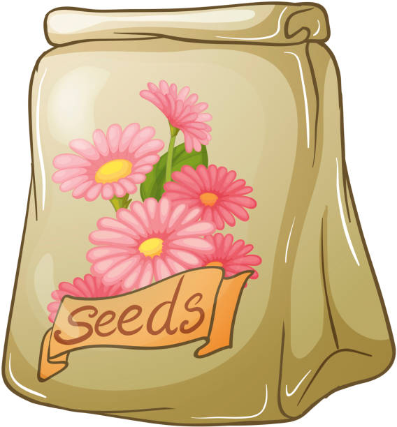ilustrações de stock, clip art, desenhos animados e ícones de embalagem de flor de sementes - hardbound