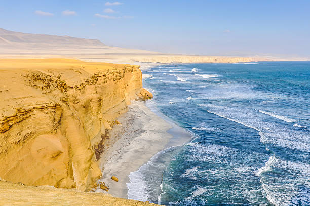 istock Beach view in the Paracas National Reserve, Peru 498283126