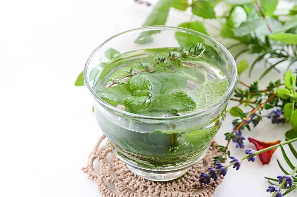 glass of herbaldrink with fresh herbs on white background