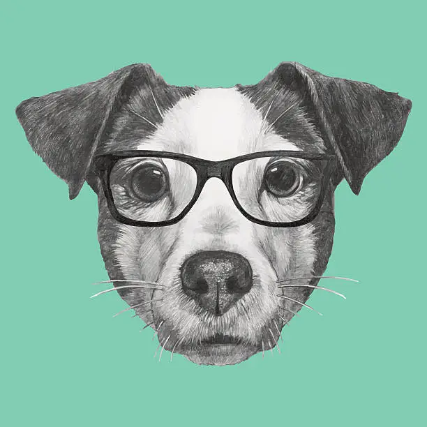Vector illustration of Portrait of Jack Russell with glasses.
