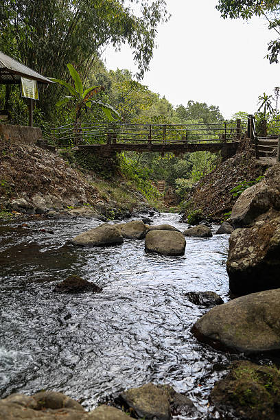 A lonely bridge in the middle of the jungle of Java.