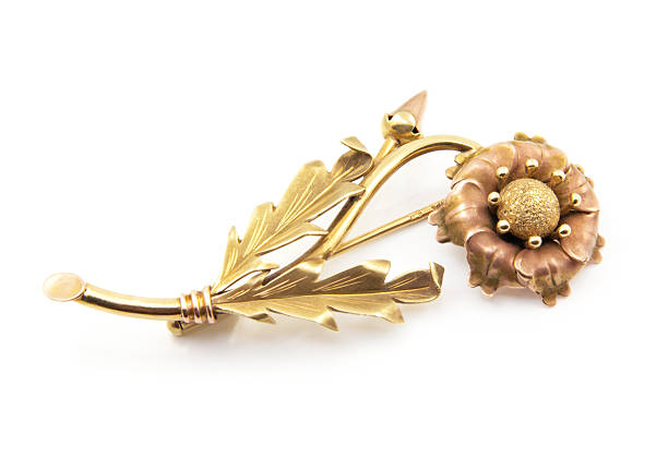 broche - brooch gold jewelry old fashioned - fotografias e filmes do acervo