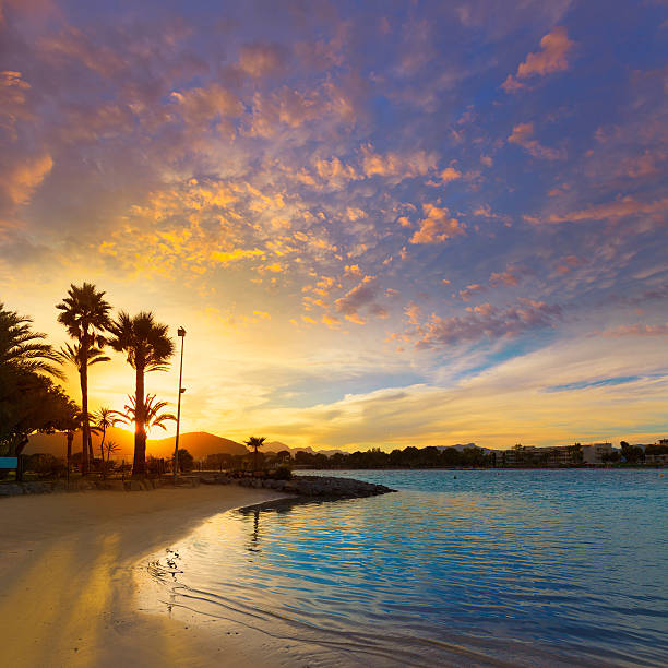 istock Alcudia Majorca at sunset on the beach Mallorca 498299246