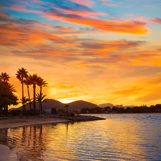 istock Alcudia Majorca at sunset on the beach Mallorca 498299580