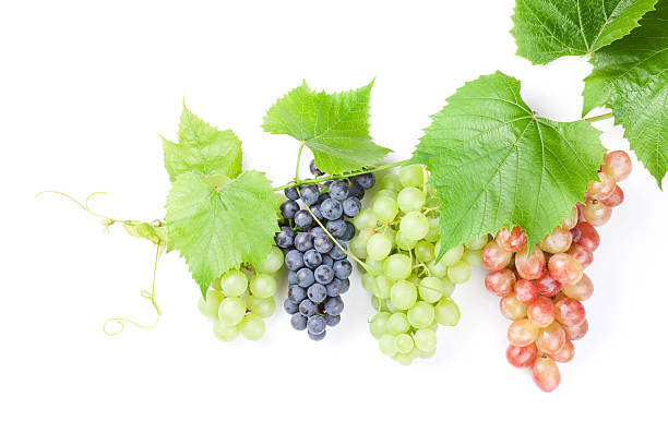 istock Bunch of red, purple and white grapes 498301162