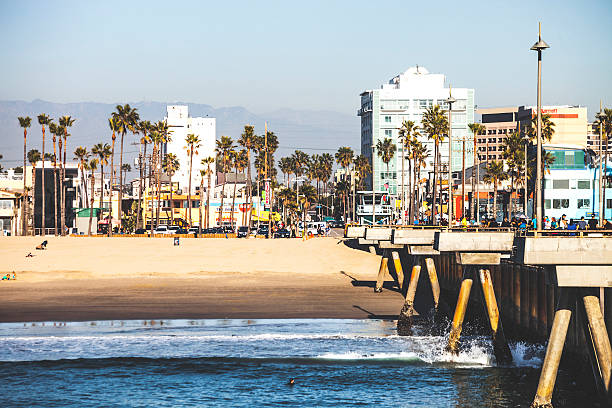 венис-бич, калифорния. - palm tree california city of los angeles venice beach стоковые фото и изображения