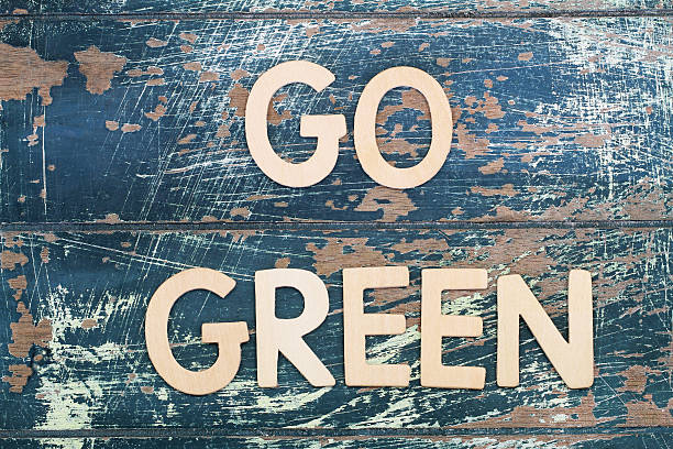 istock Go green written on rustic wooden surface 498302250