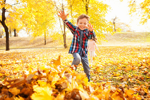 Image of beautiful boy jumping in the pile of autumn leaves, shallow depth of field