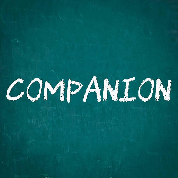 istock COMPANION written on chalkboard 498304744