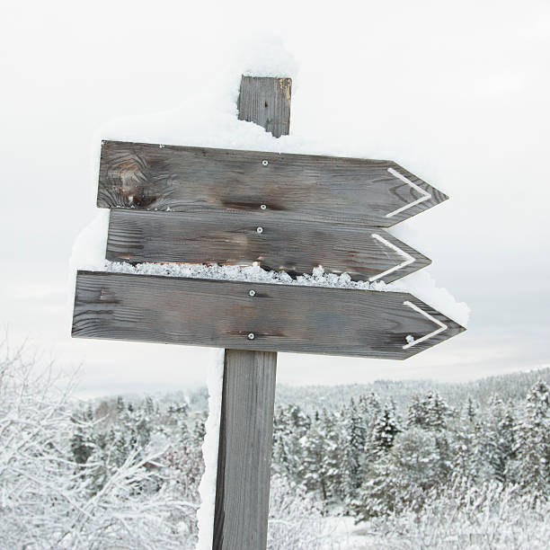 istock wooden signpost 498306806